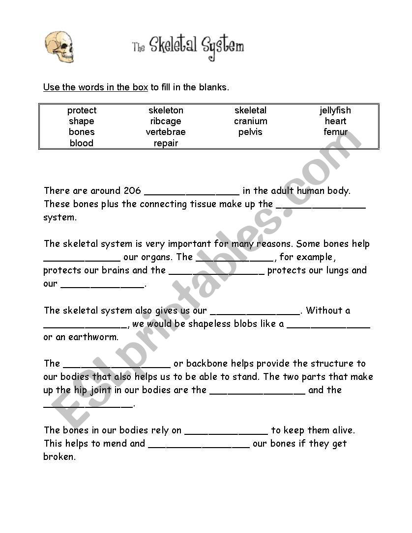 Skeletal system worksheet