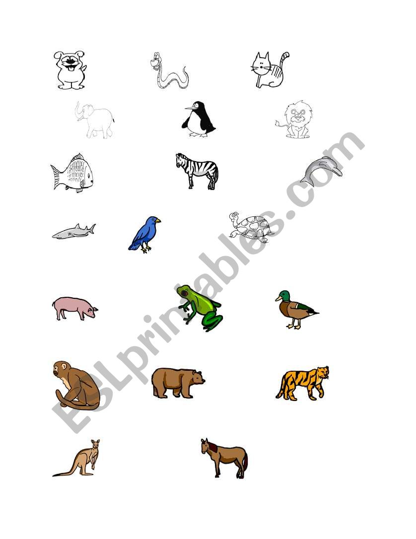 Animals worksheet