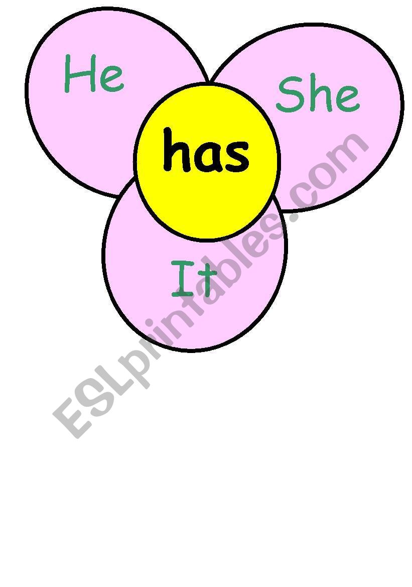 Have Has worksheet