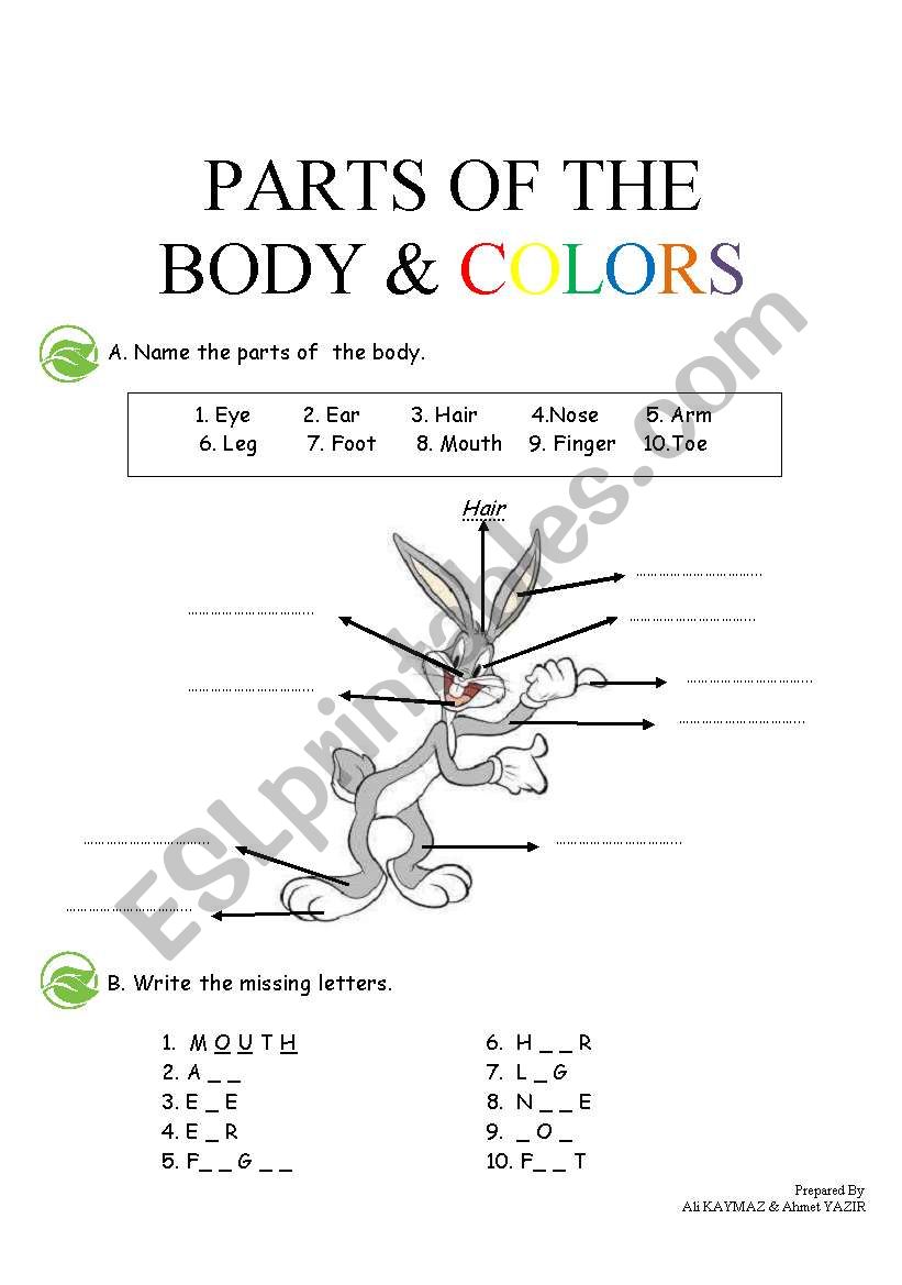 Parts of the Body and Colors worksheet