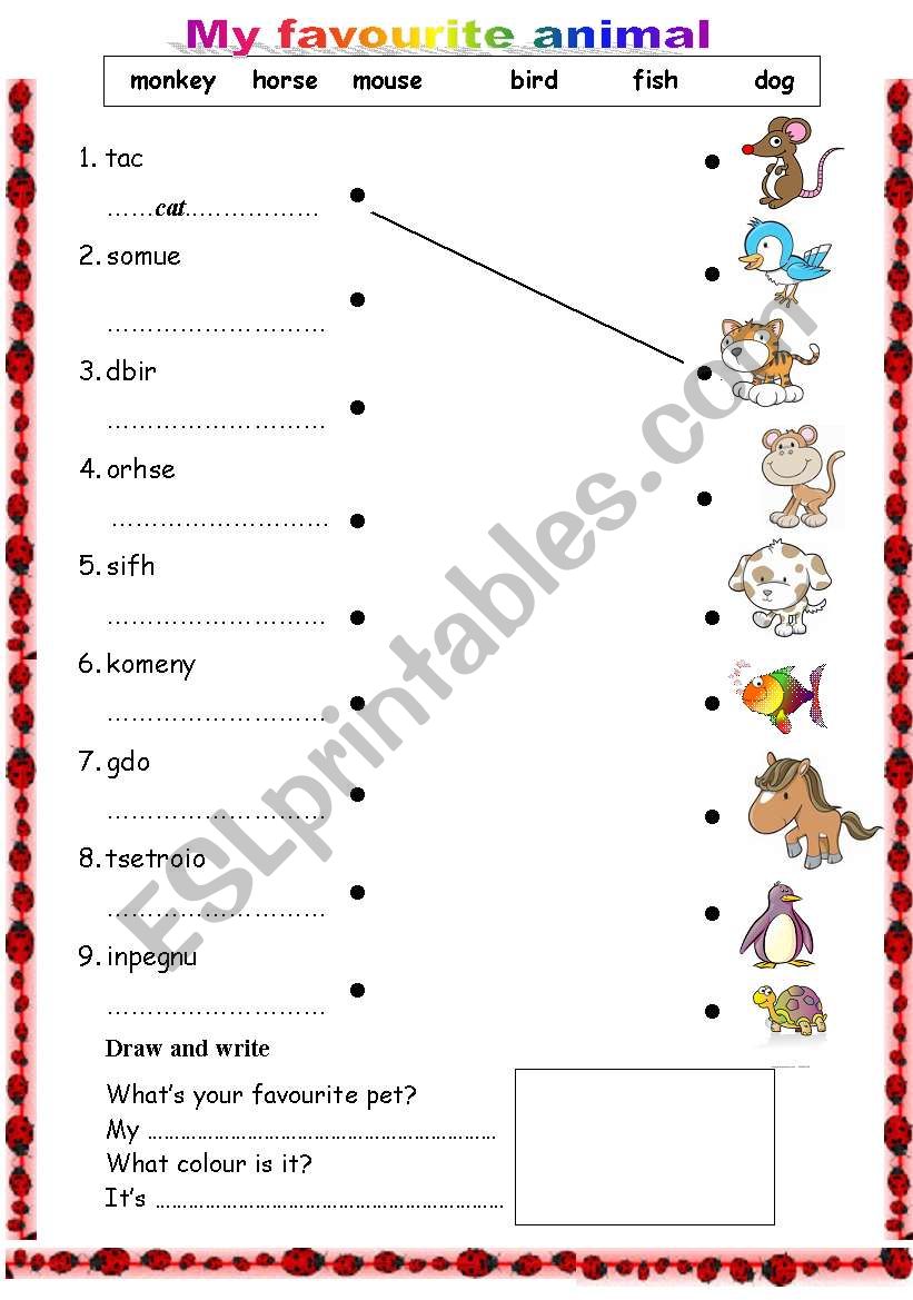 My favourite pet worksheet