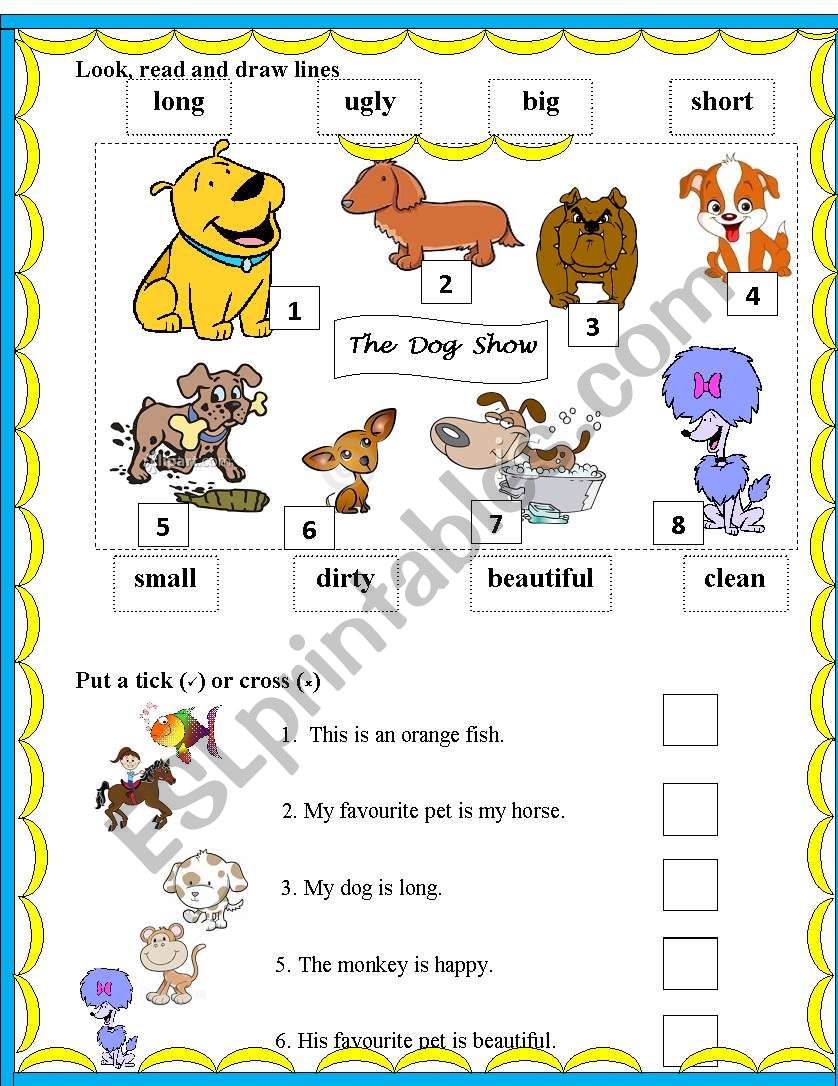 My favourite pet # worksheet