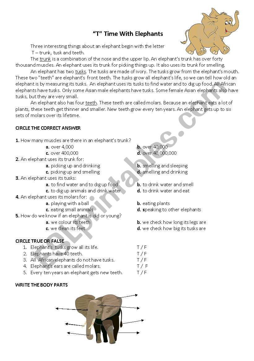 reading comprehension  worksheet