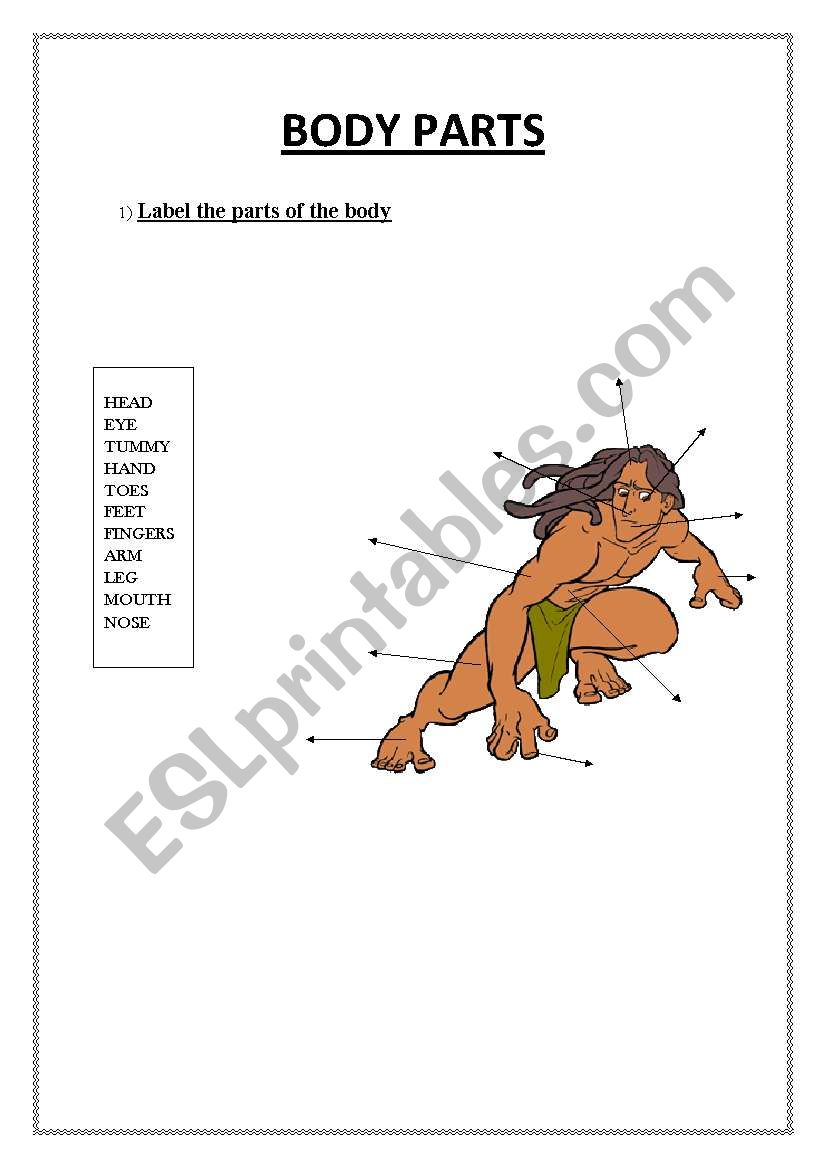 BODY PARTS worksheet