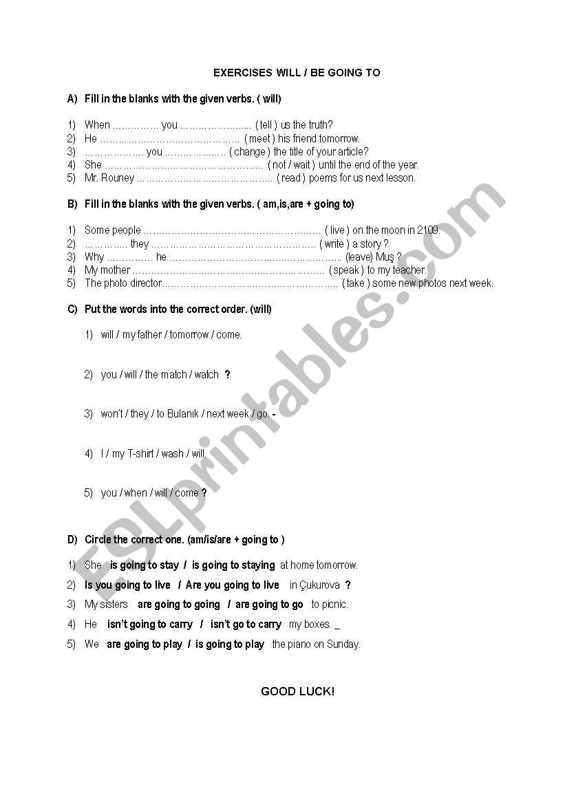will or going to exercises worksheet