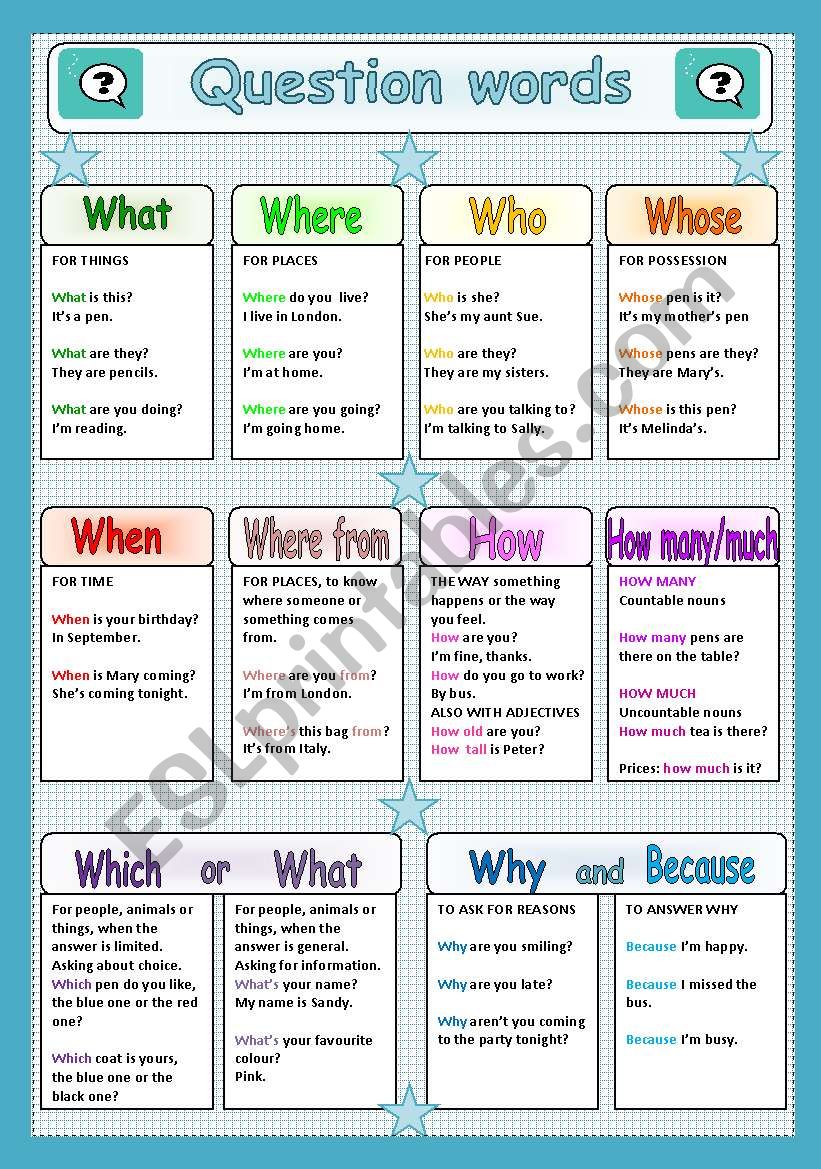 Question Words - ESL worksheet by traute