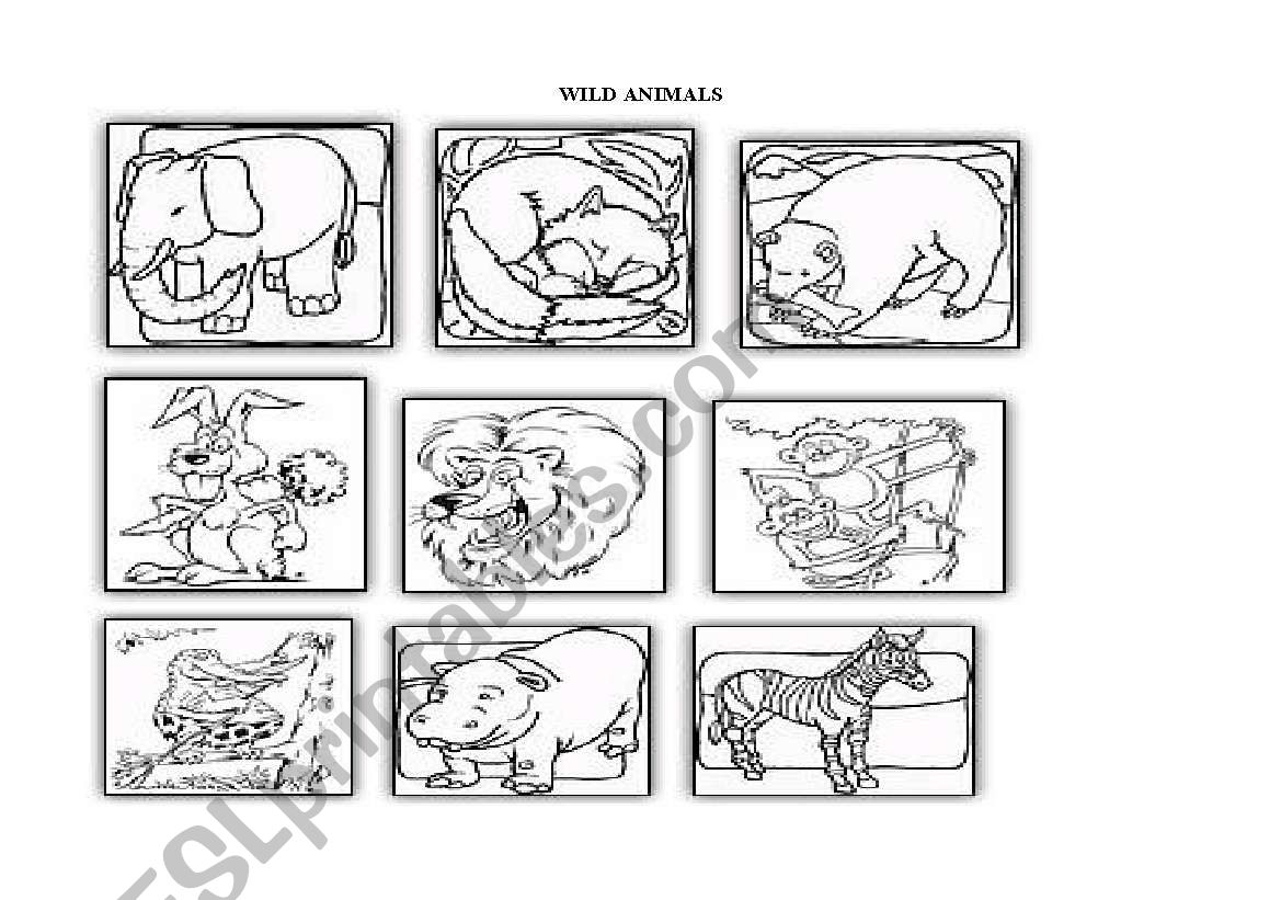 wild animals  worksheet