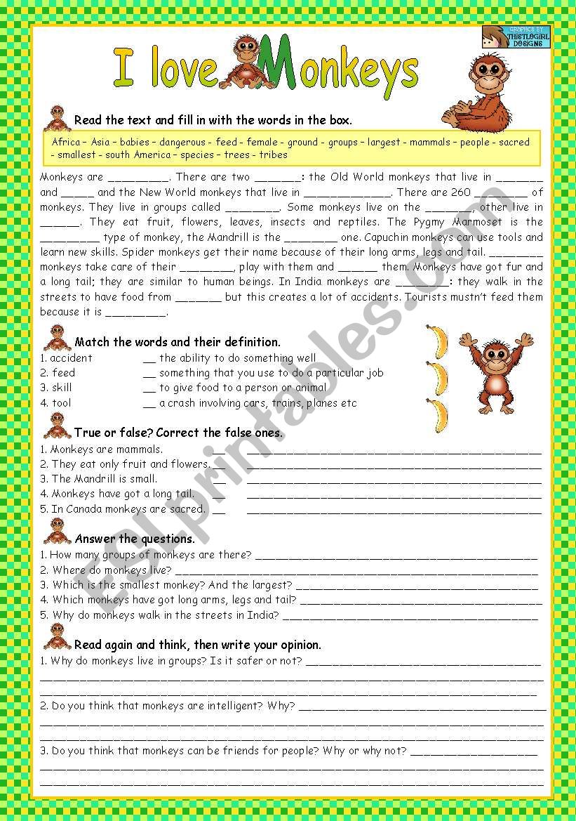 I LOVE MONKEYS worksheet