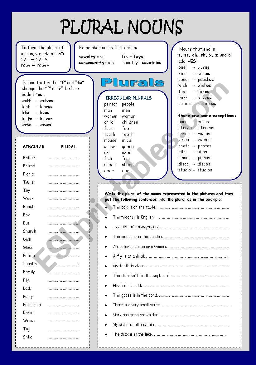 plural nouns worksheet