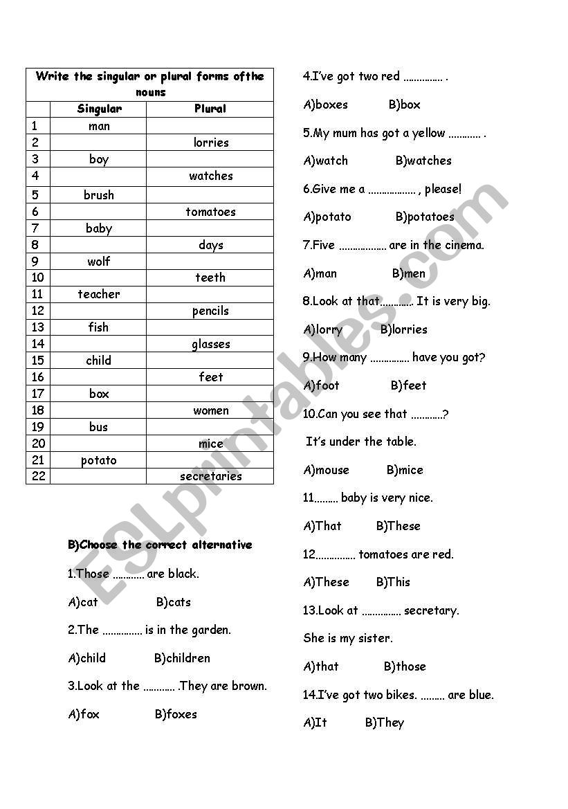 plurals worksheet