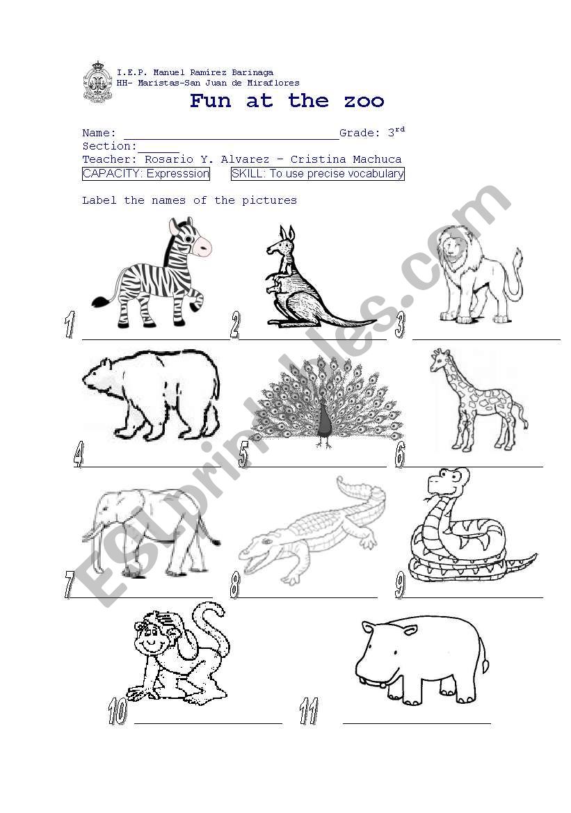 The animals worksheet