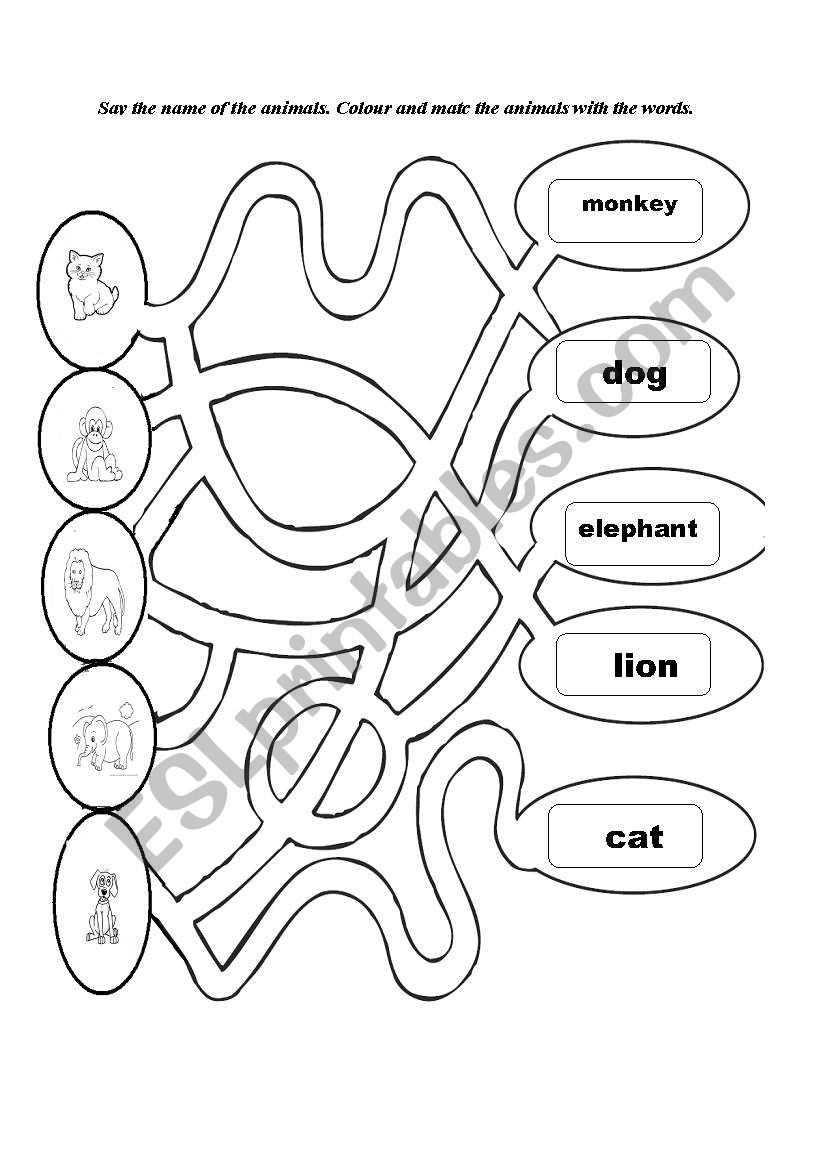 animals worksheet