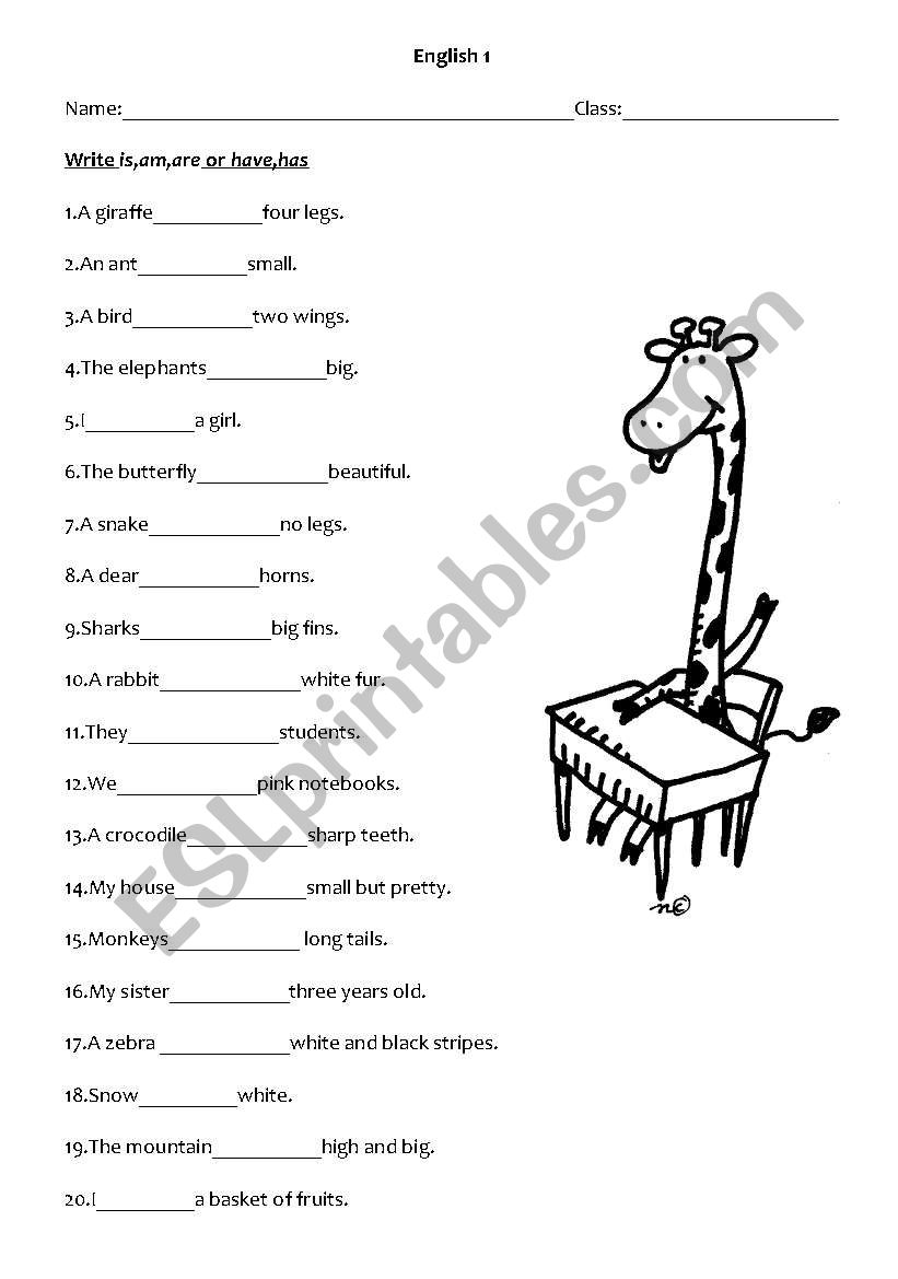 Verb to have and verb to be worksheet