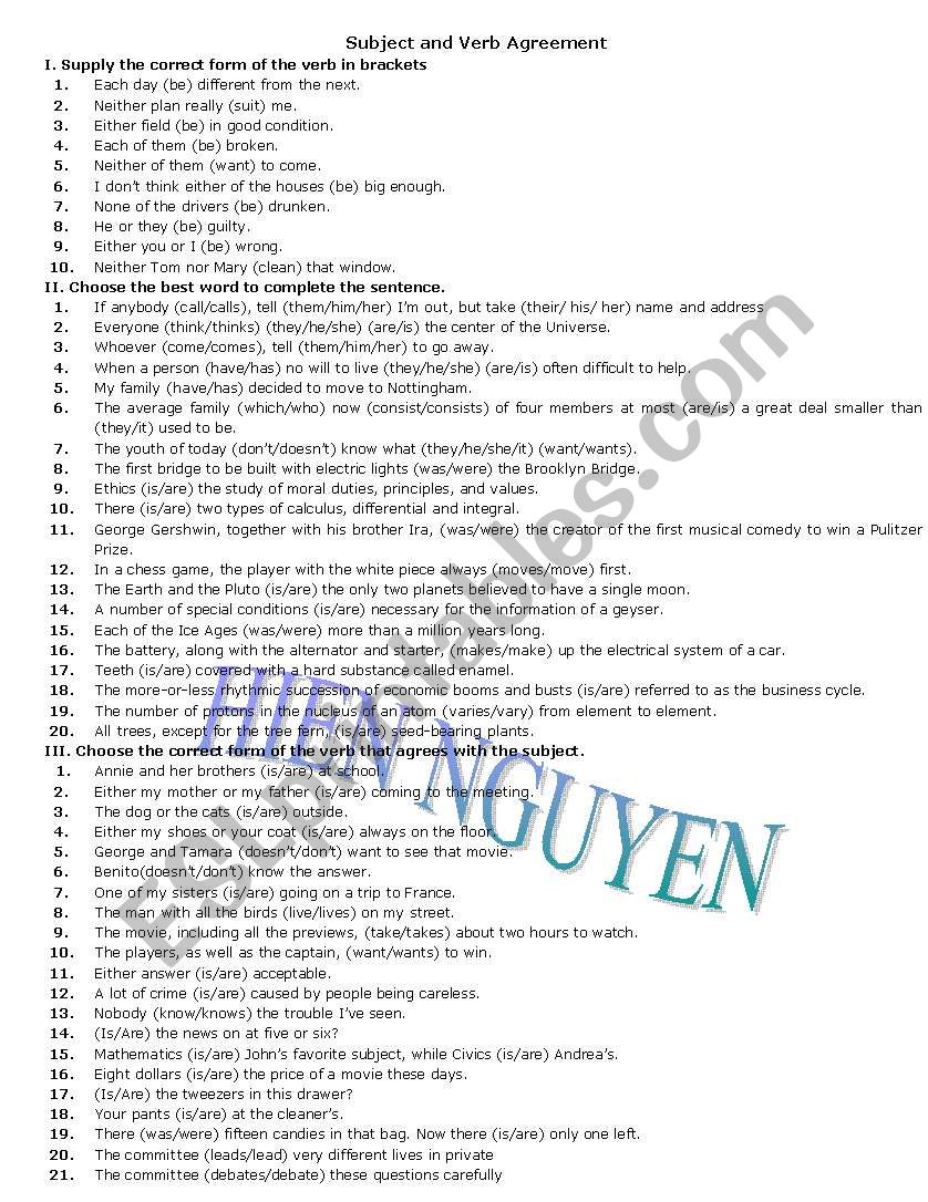 Subject and Verb Agreement worksheet