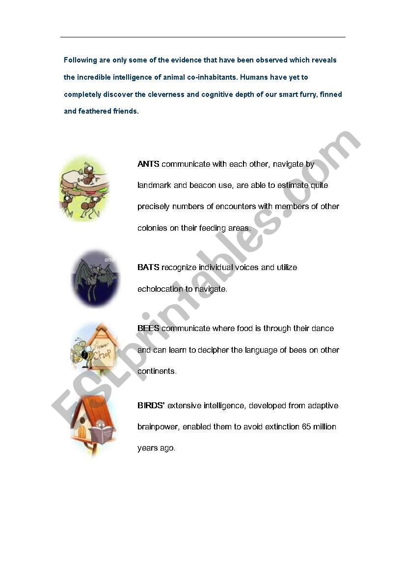 ABC animals worksheet