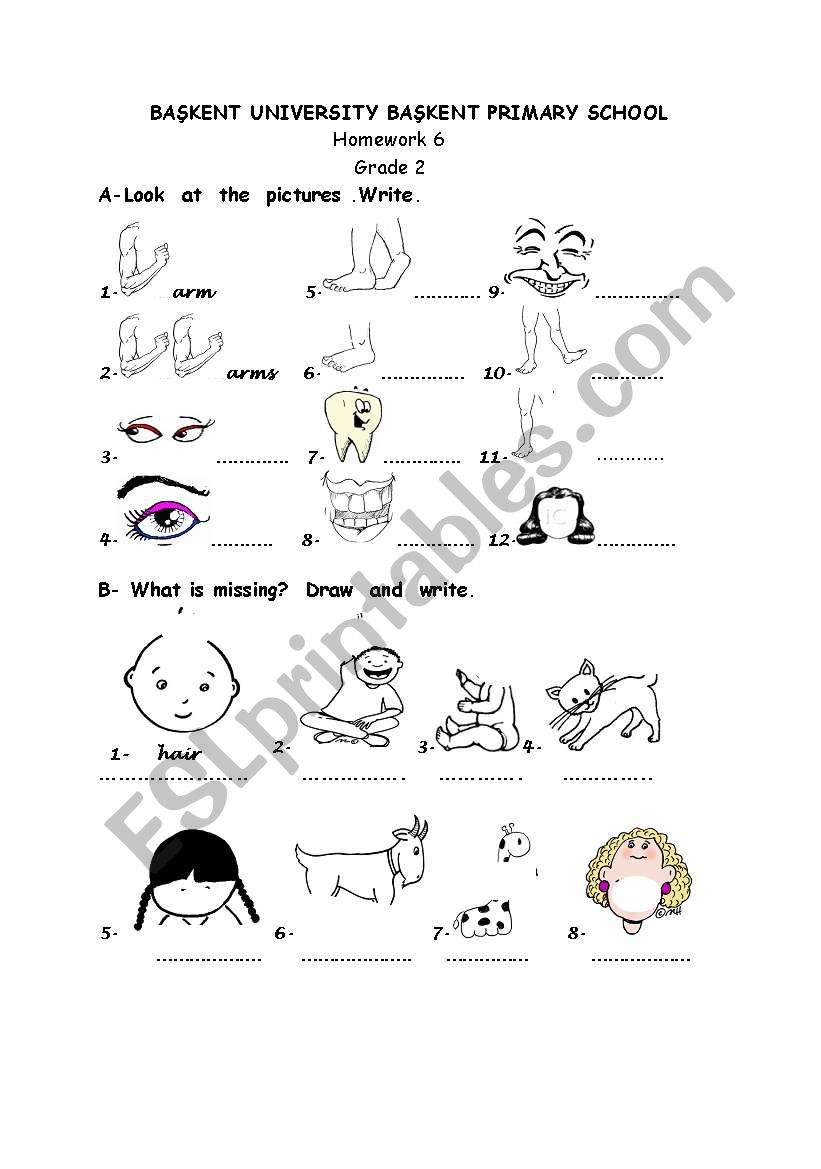 toys worksheet