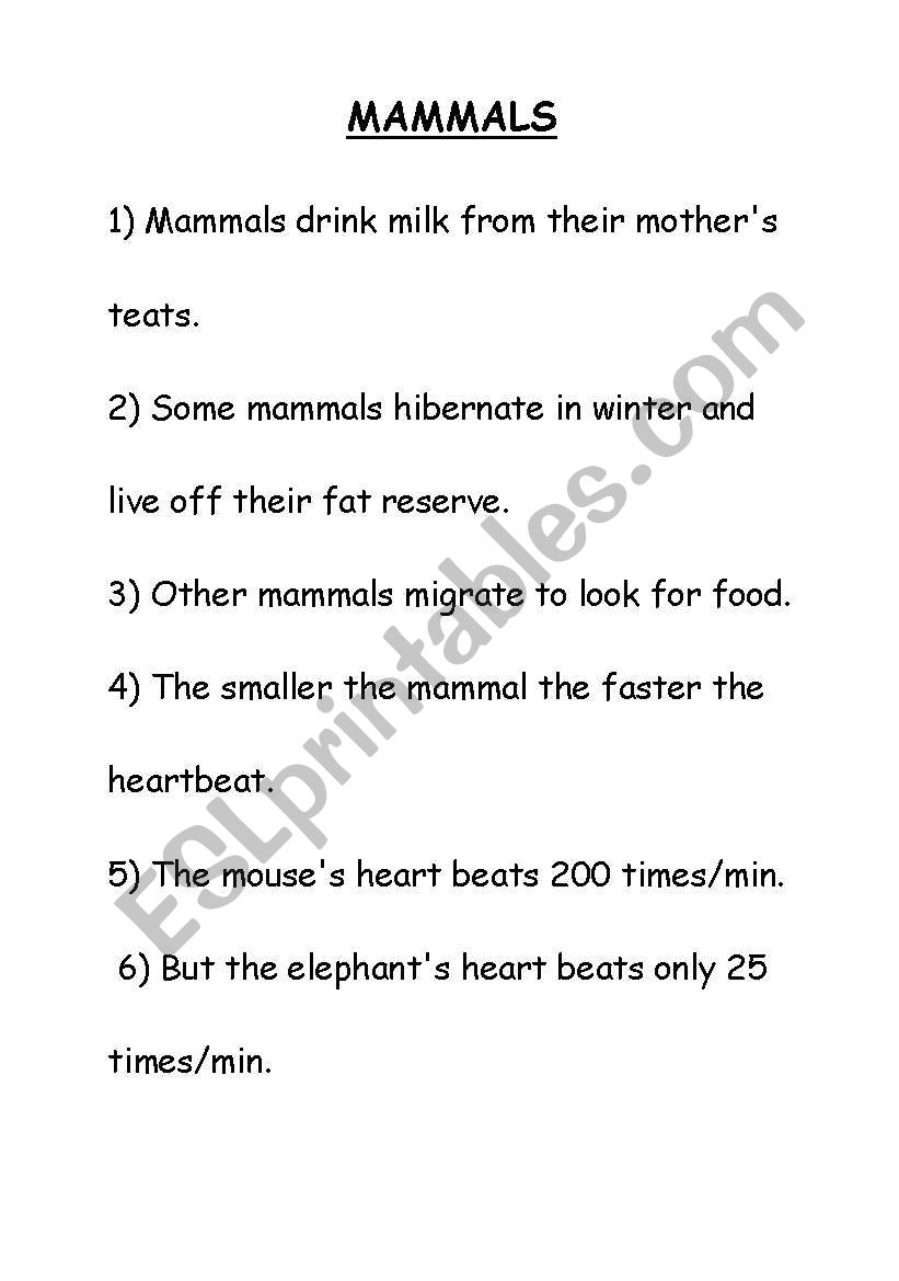 Mammals worksheet