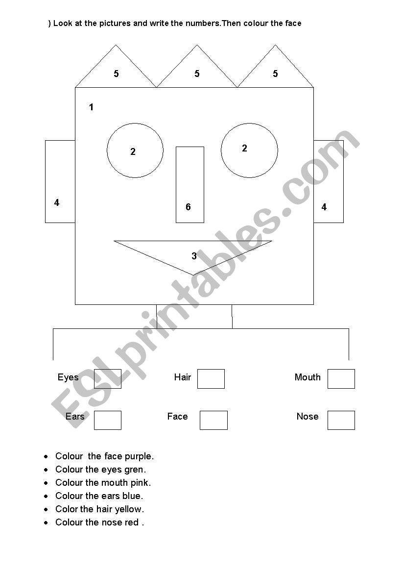 Parts of the face in the form of colouring