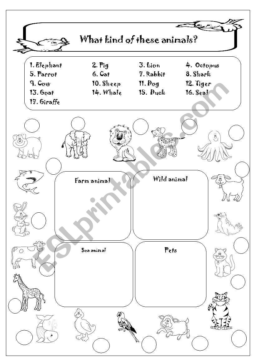 Animal worksheet