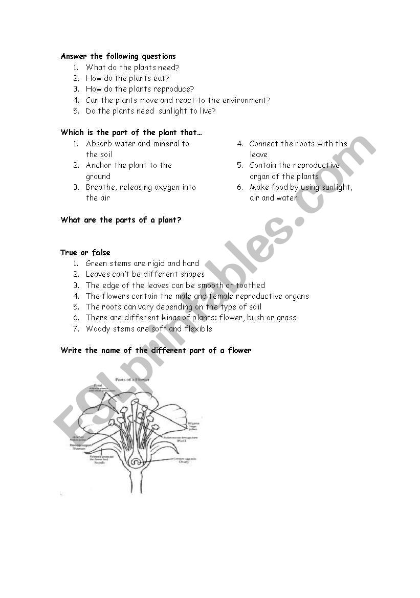 plants worksheet