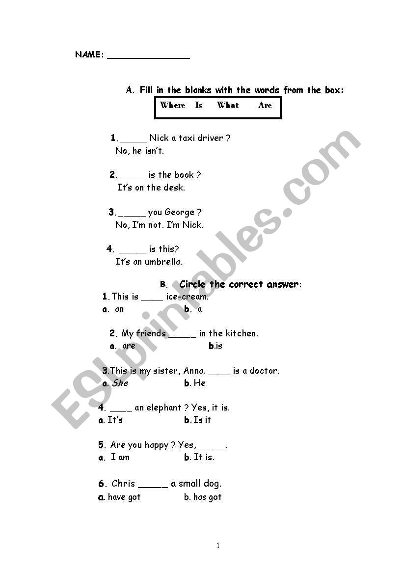 revision test for kids worksheet