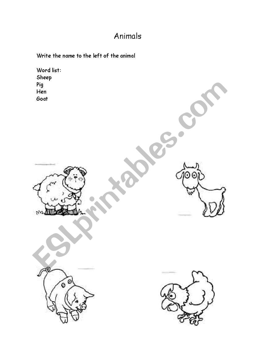 some animals  worksheet