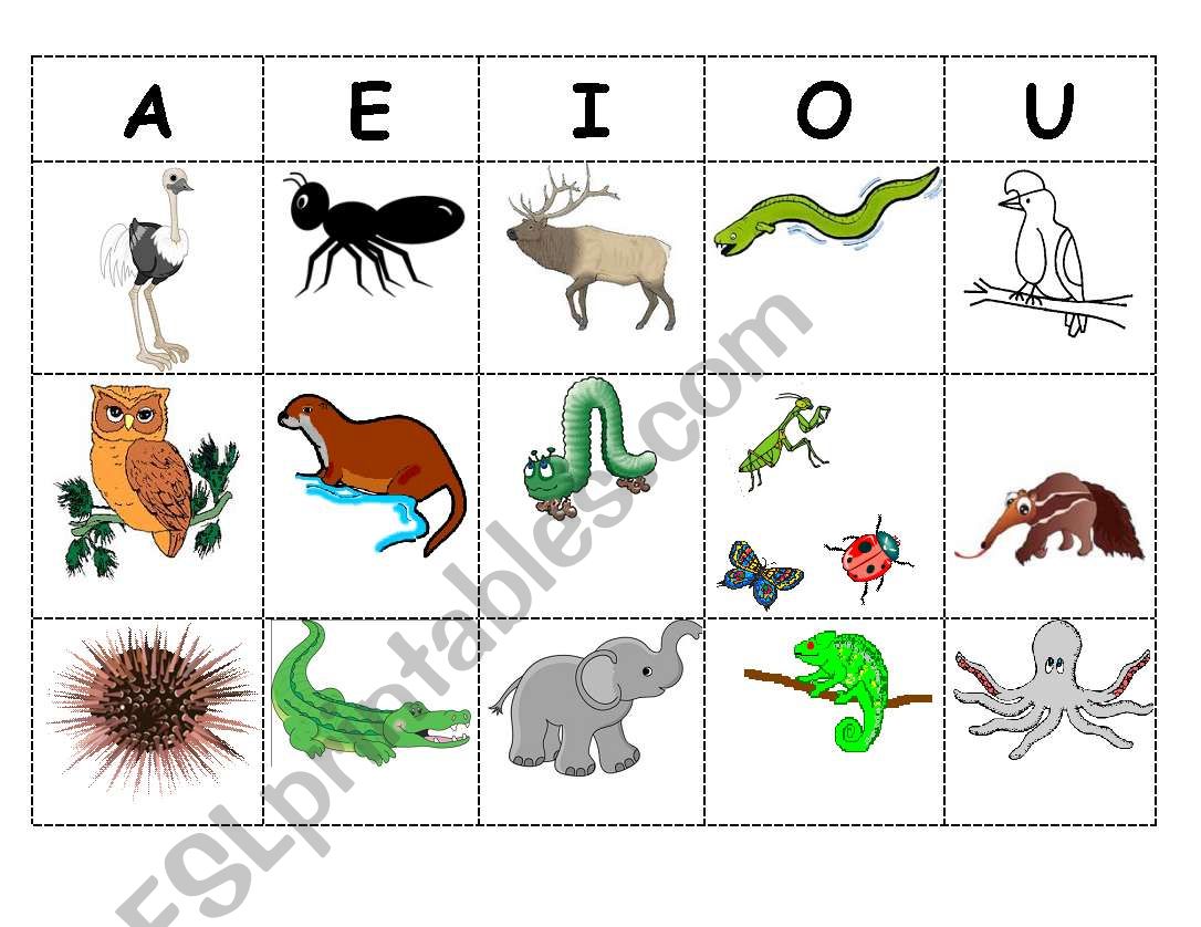 English worksheets: Animal Vowel Sort English worksheets: Animal Vowel Sort