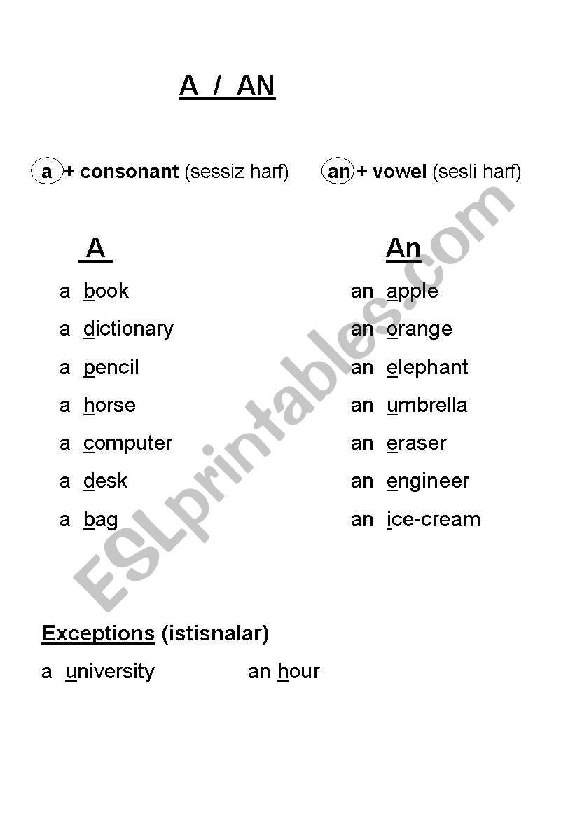 A & AN worksheet