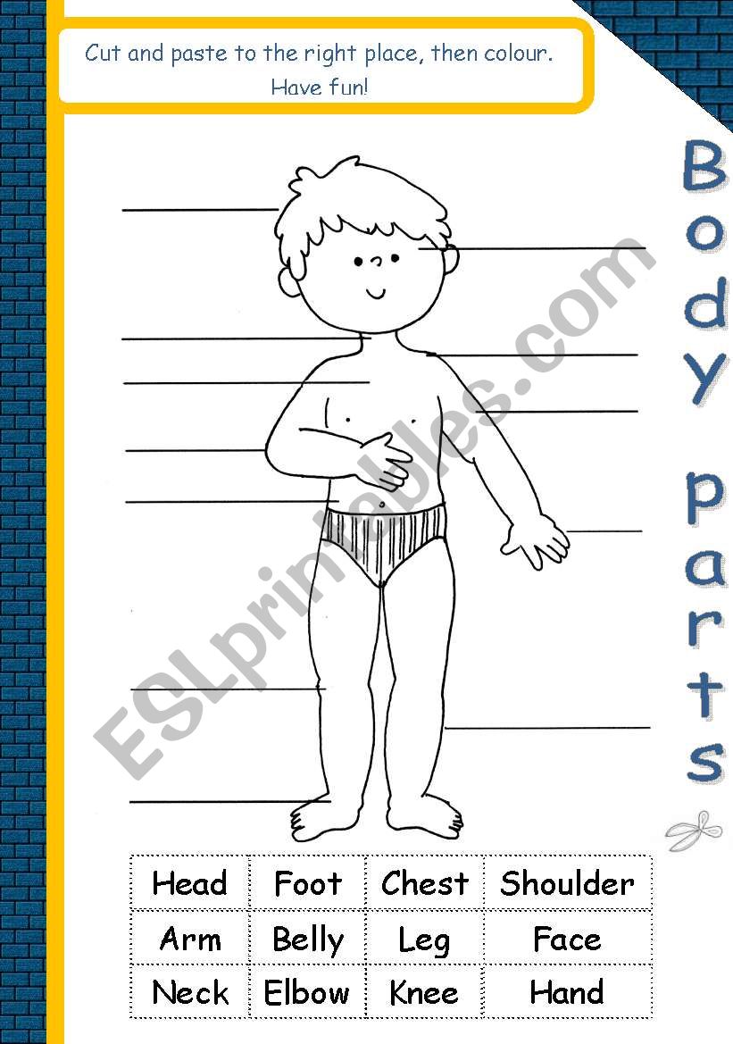 Body parts*editable* worksheet