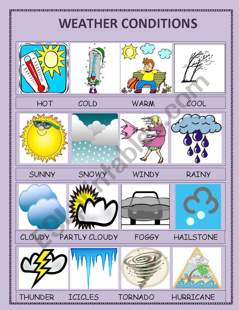 weather-conditions-esl-worksheet-by-ipek83