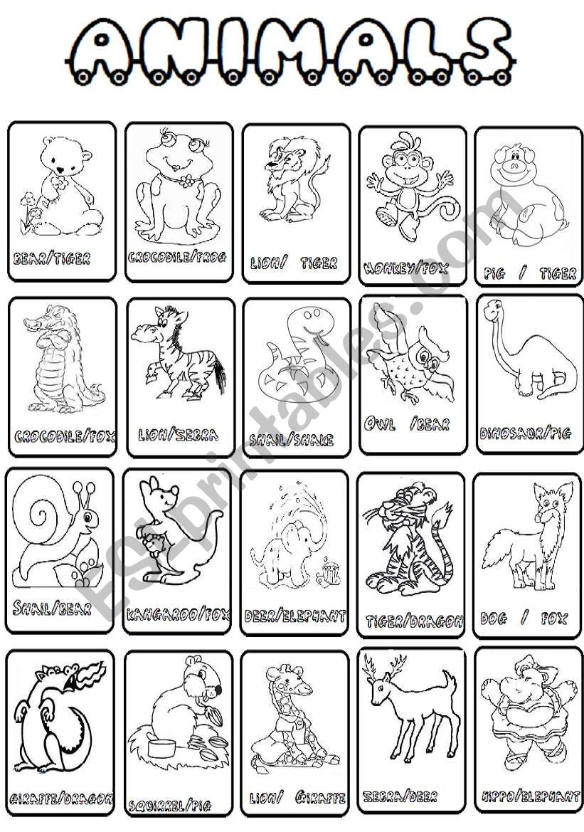 animals worksheet