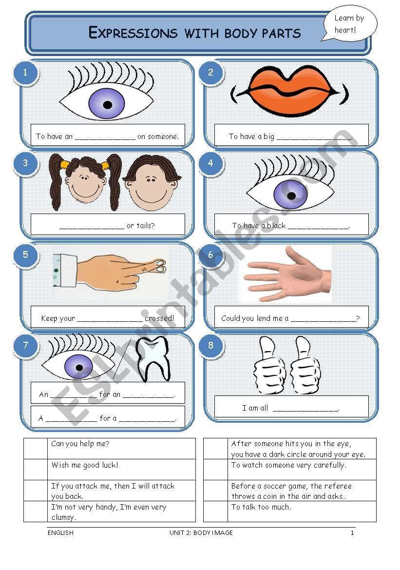 expressions with body parts worksheet