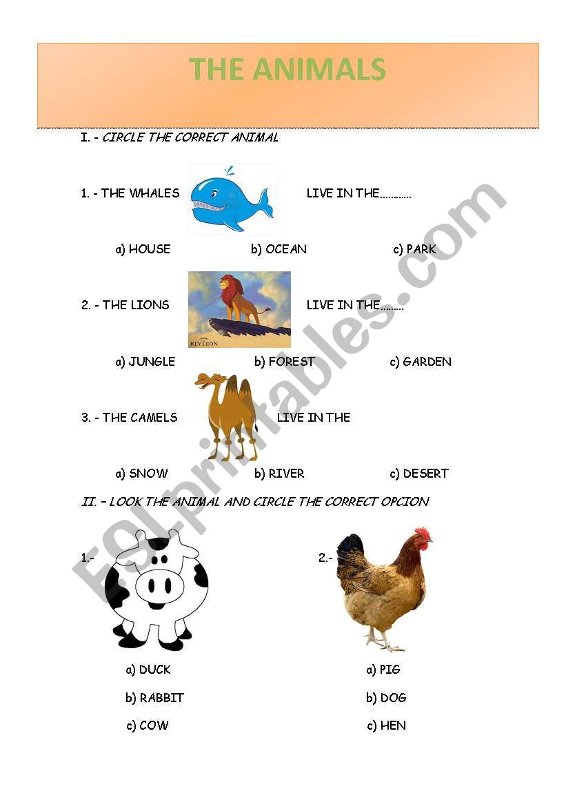 ANIMALS worksheet