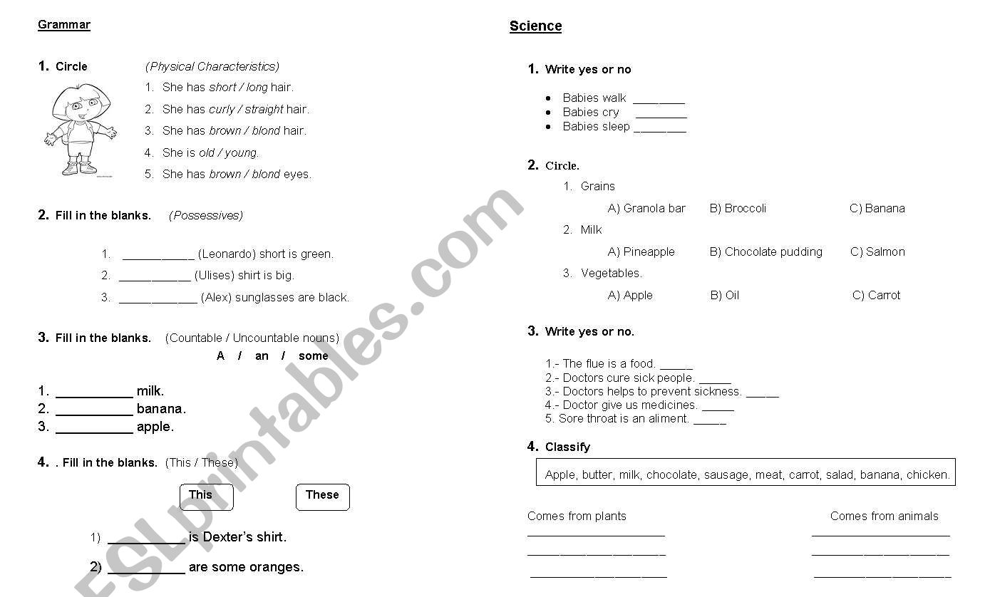 Grammar and Science worksheet