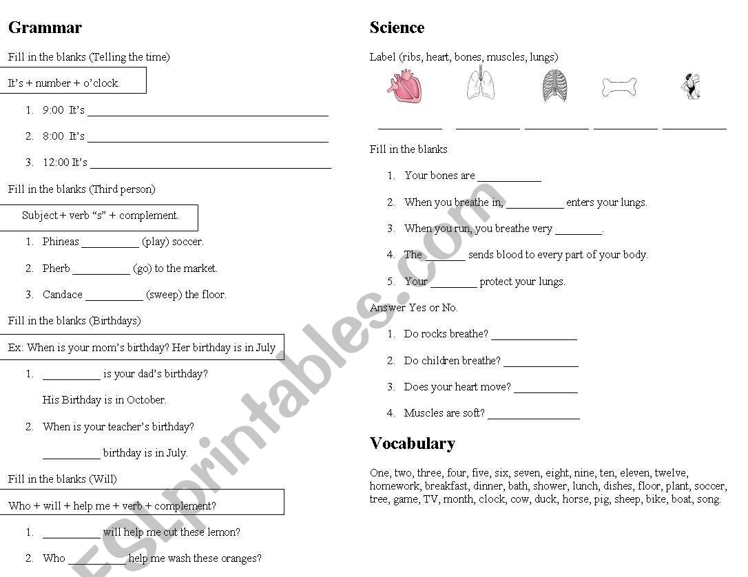 Grammar and Science 2 worksheet