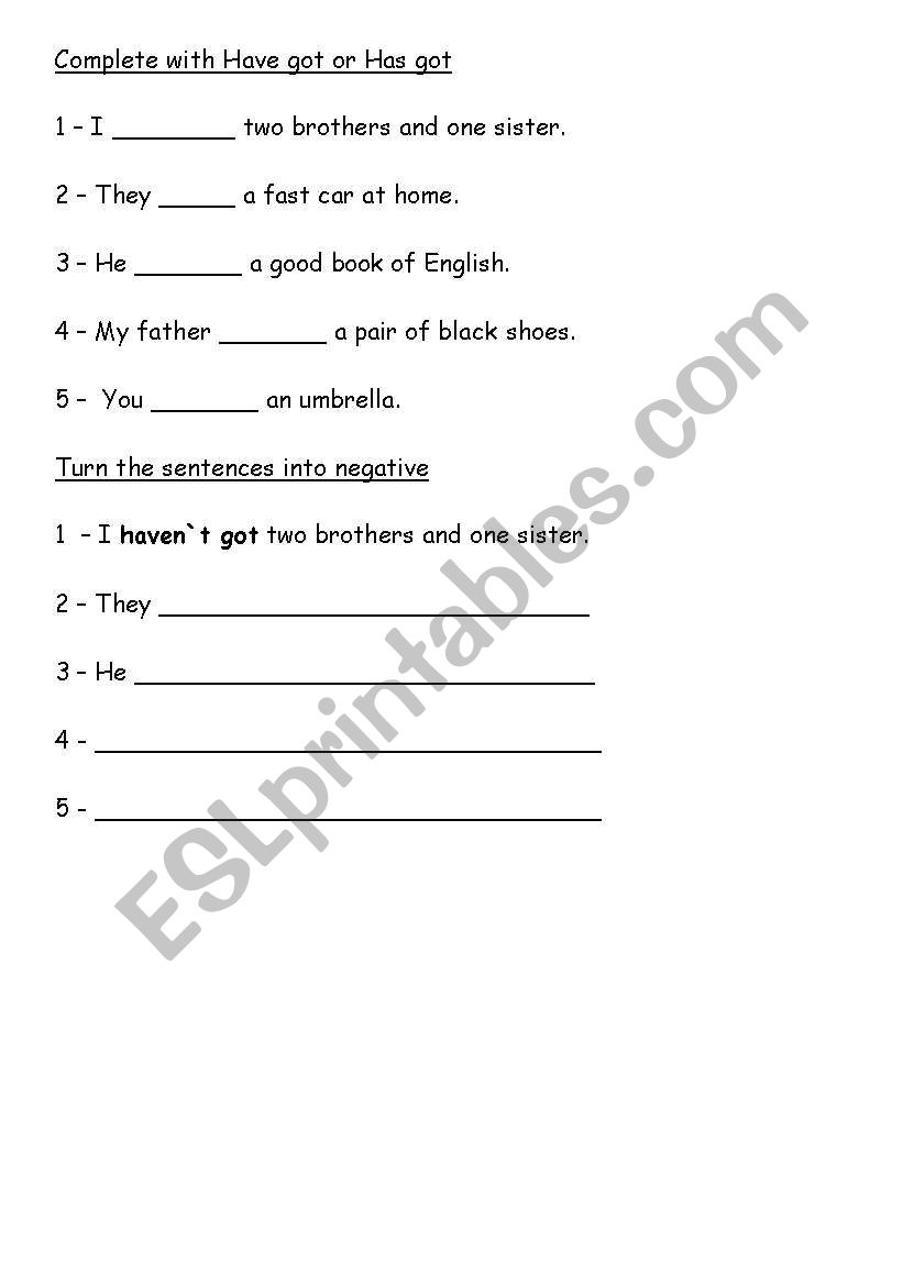 have got - has got  worksheet