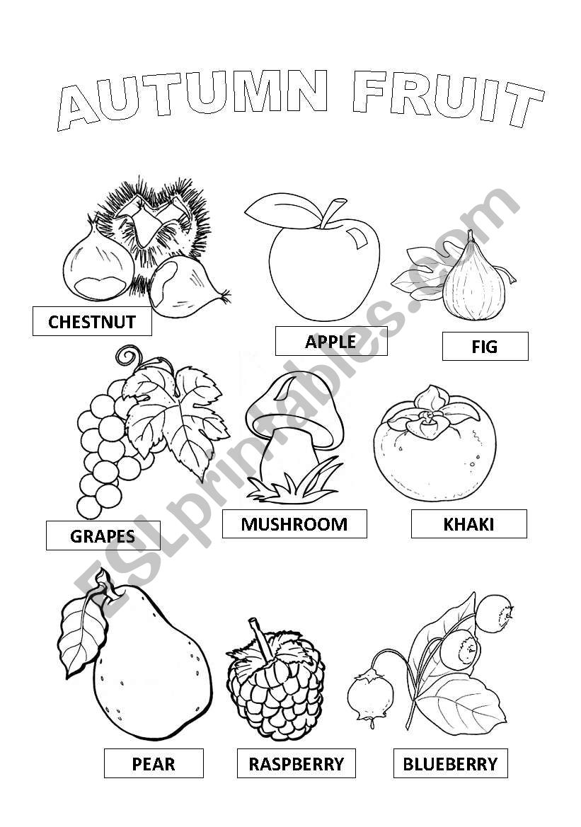 autumn fruits worksheet