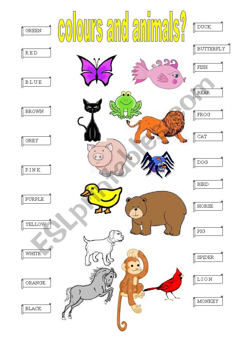 Colours and anials connect worksheet