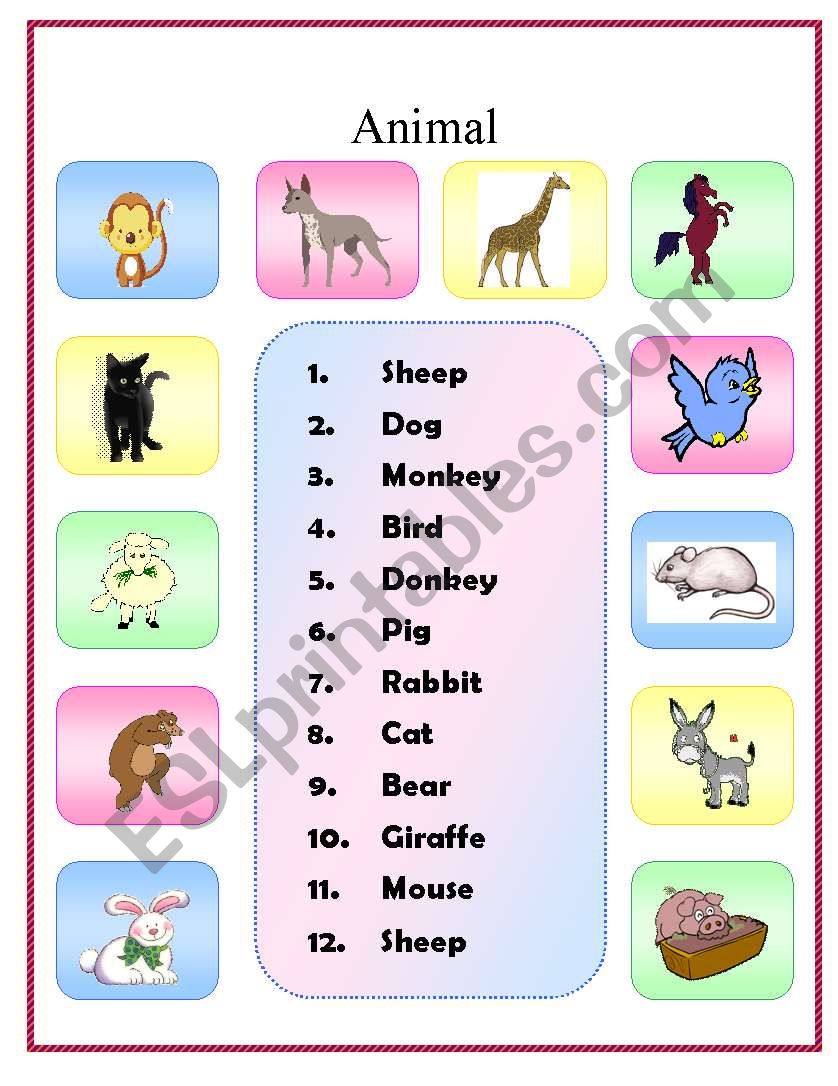 Animal matching exercise worksheet