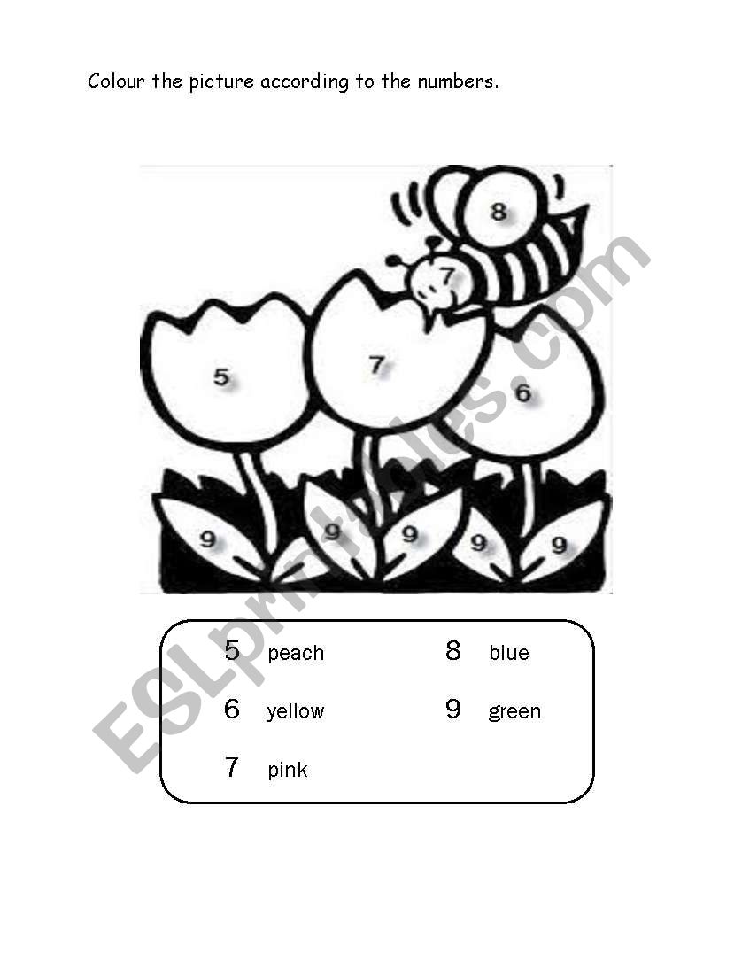 colour the picture worksheet