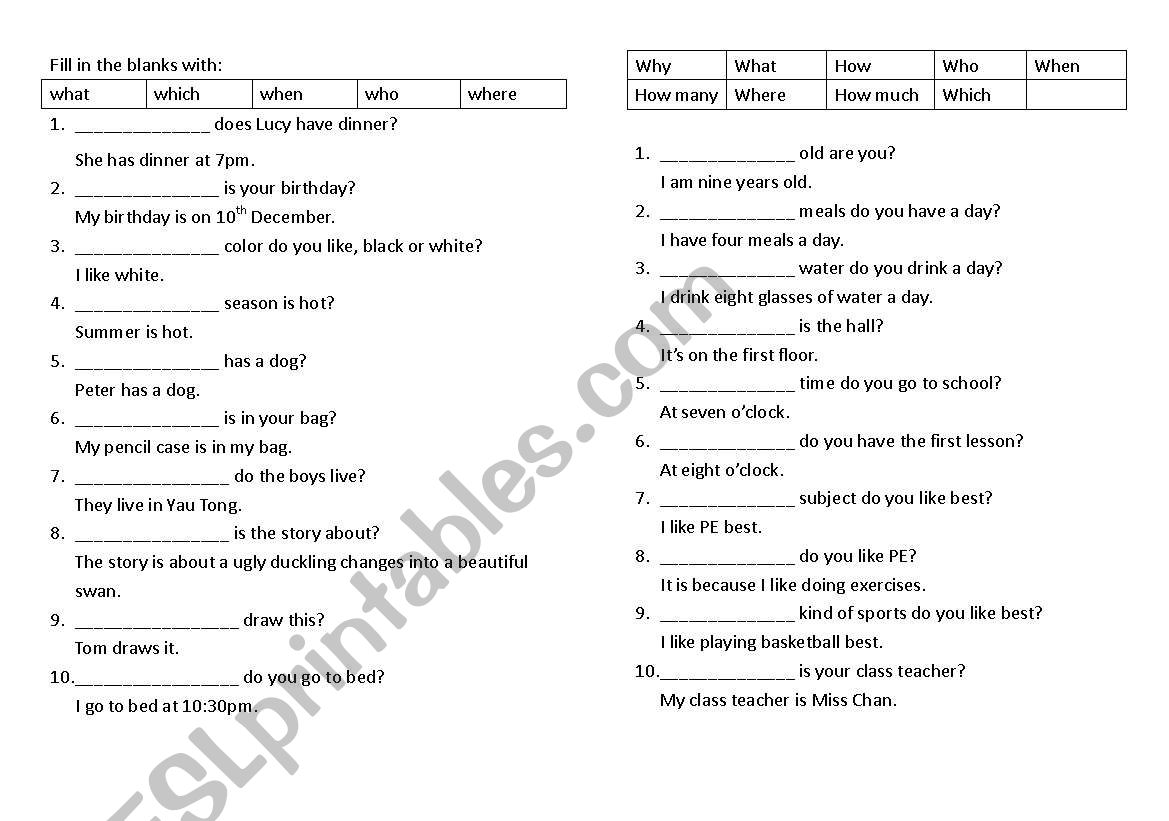 wh-questions worksheet