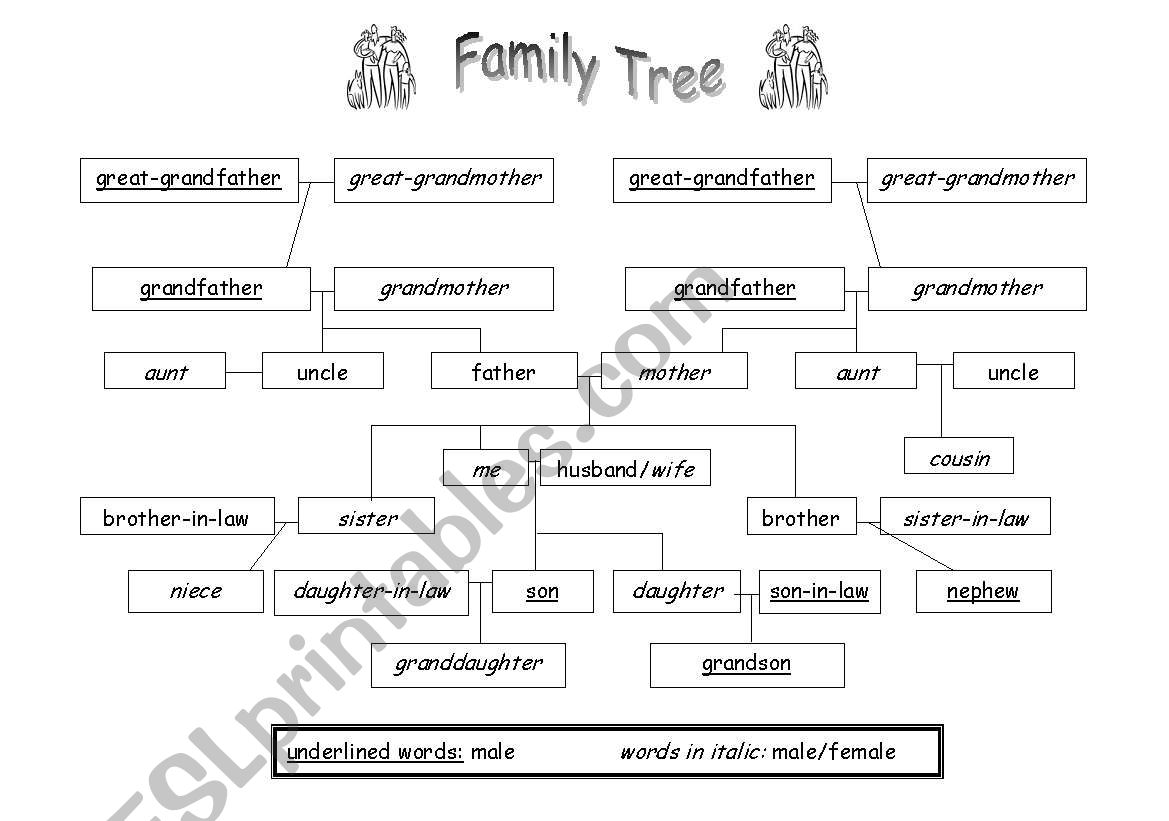 Family tree worksheet