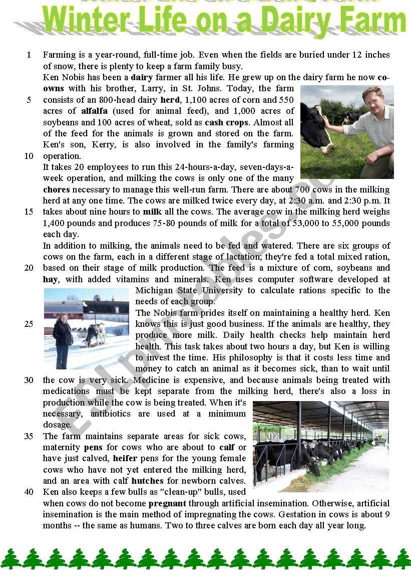 Winter Life on a Dairy Farm worksheet