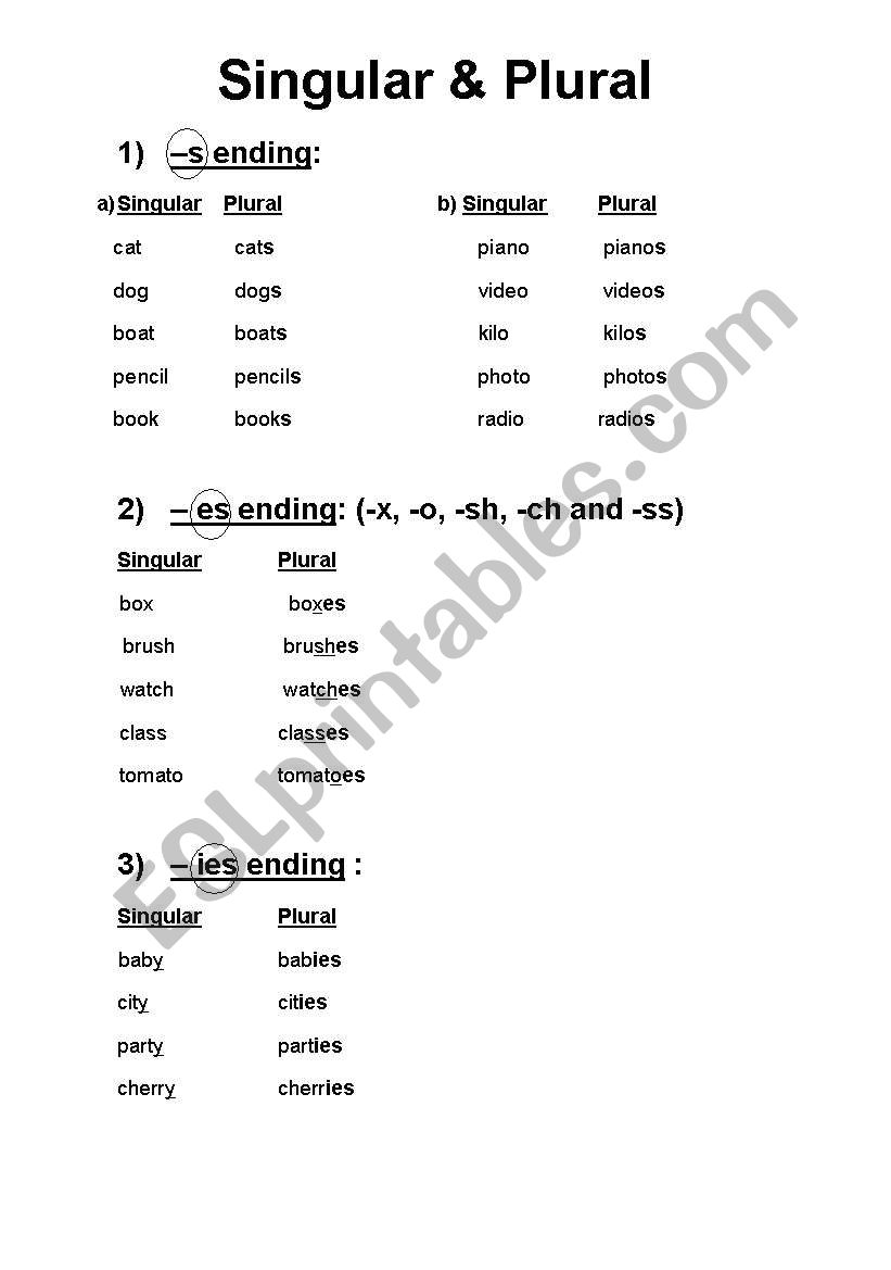 Singular&Plural Nouns worksheet