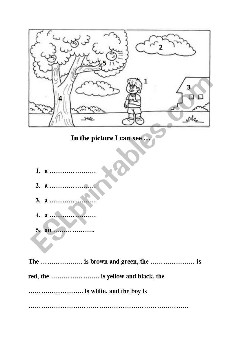 In the picture I can see ... worksheet