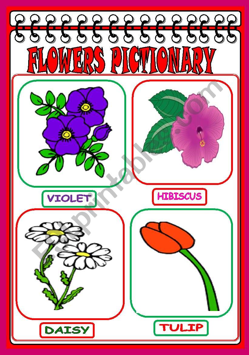 Flowers Pictionary worksheet