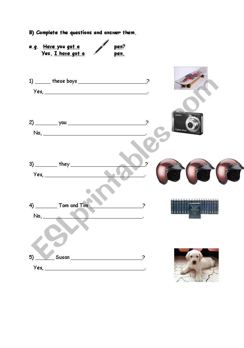 HAVE GOT - HAS GOT worksheet