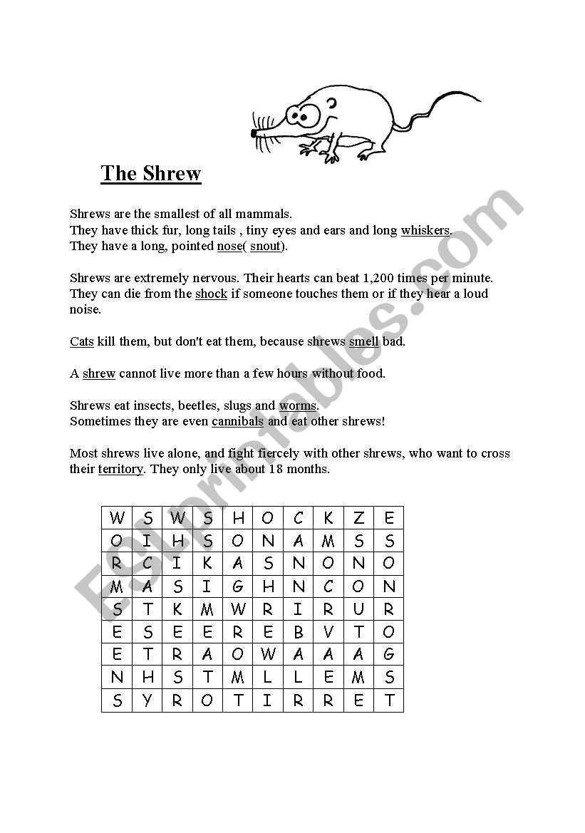 The Shrew worksheet