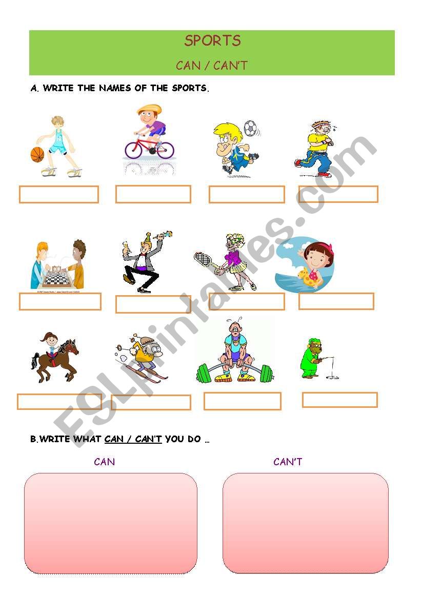 sports/ can- cant worksheet