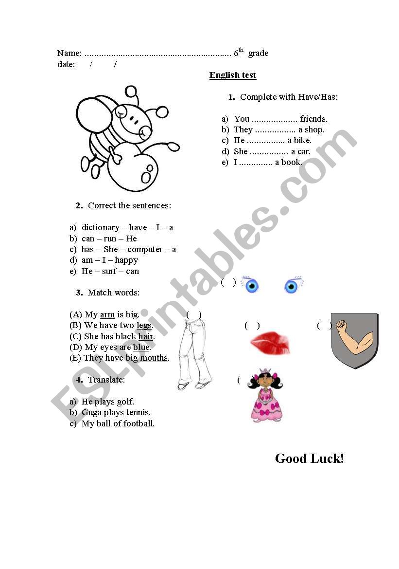 Have/has-  Body worksheet